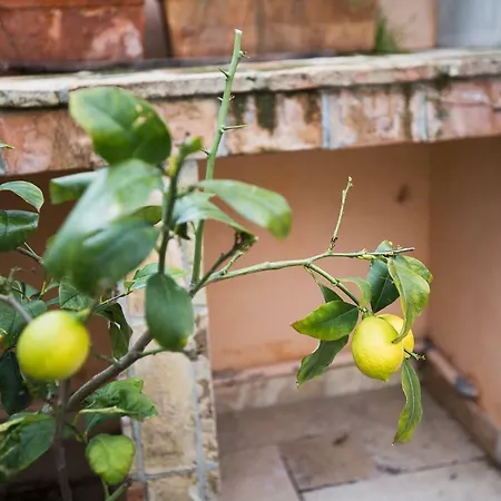 Chateau Clemenceau Appartamento Antibes