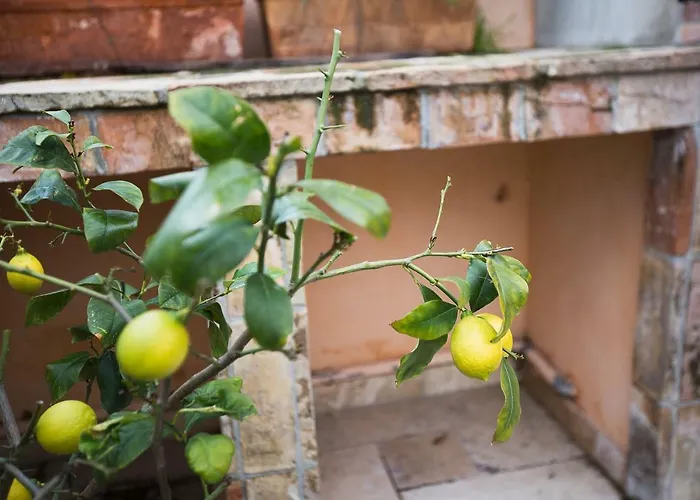 Chateau Clemenceau 公寓 昂蒂布